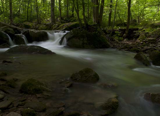 Glade Creek3